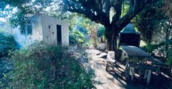 CASA AMERICANA